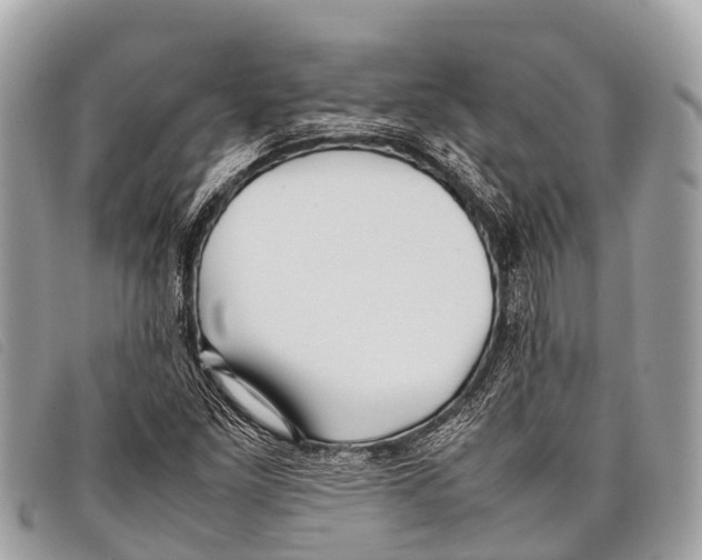 X0000097861261200804111144