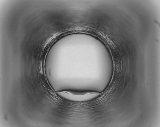 X0000097861262200804111144