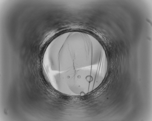 X0000097861263200804111144