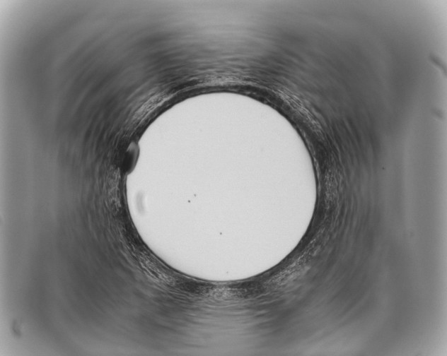 X0000097861265200804111144