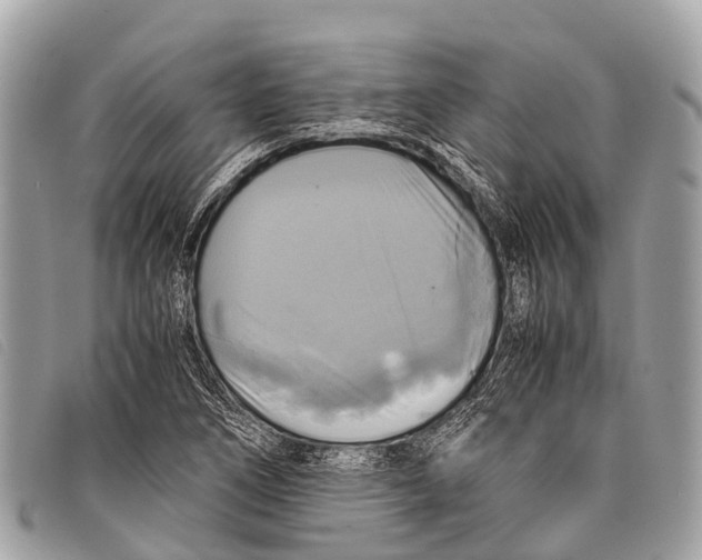 X0000097861266200804111144