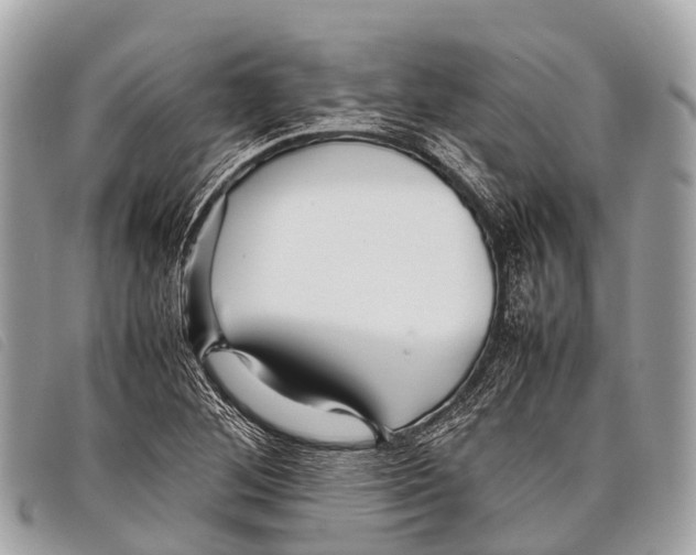 X0000097861268200804111144