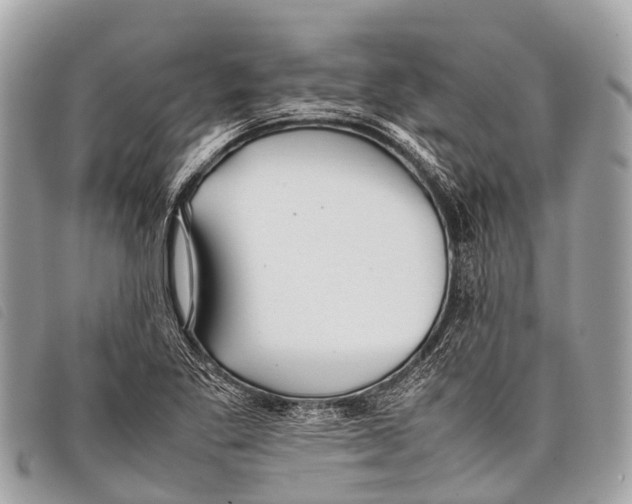 X0000097861269200804111144