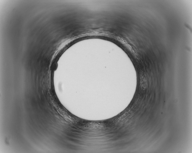 X0000097861270200804111144