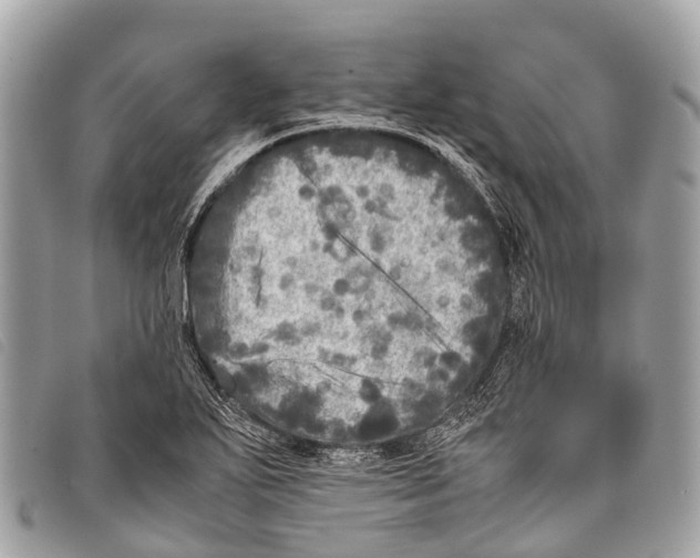 X0000097861271200804111144