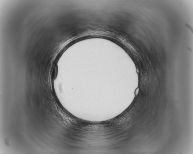 X0000097861272200804111144