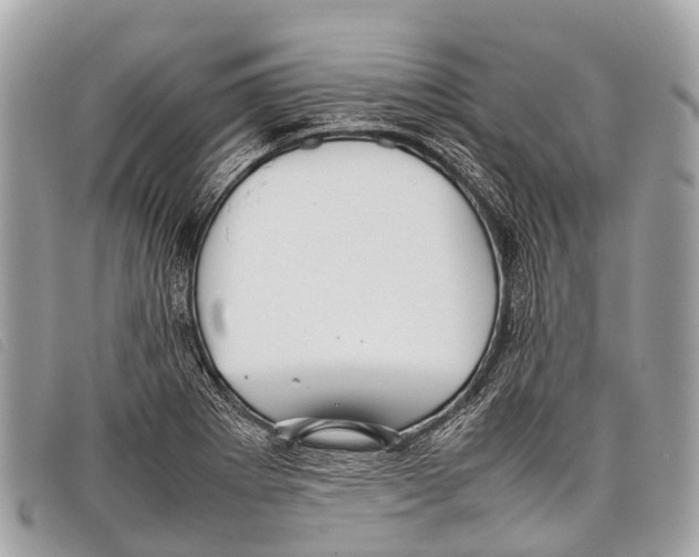 X0000097861273200804111144