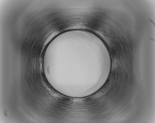 X0000097861274200804111144