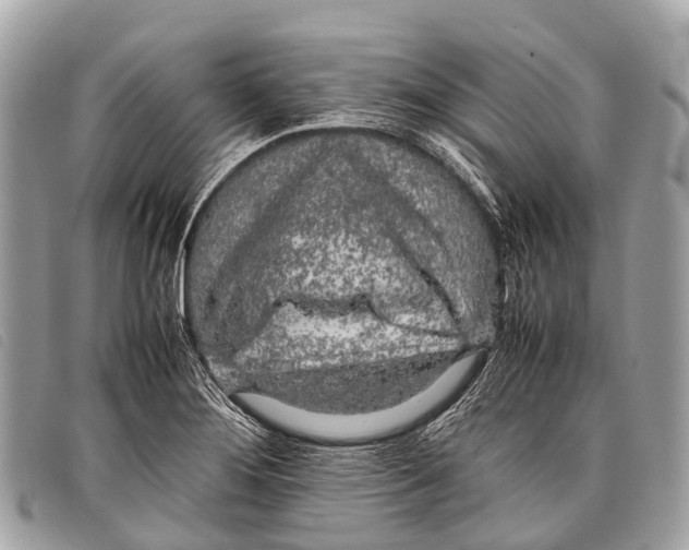 X0000097861276200804111144