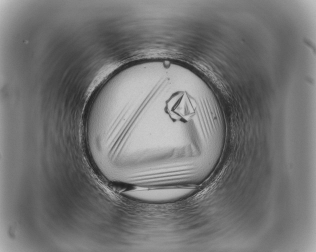 X0000097861277200804111144