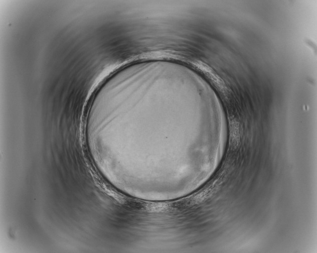 X0000097861278200804111144