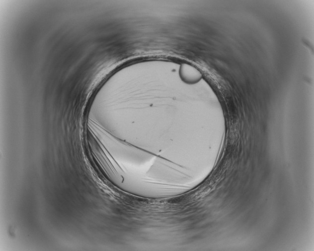 X0000097861279200804111144