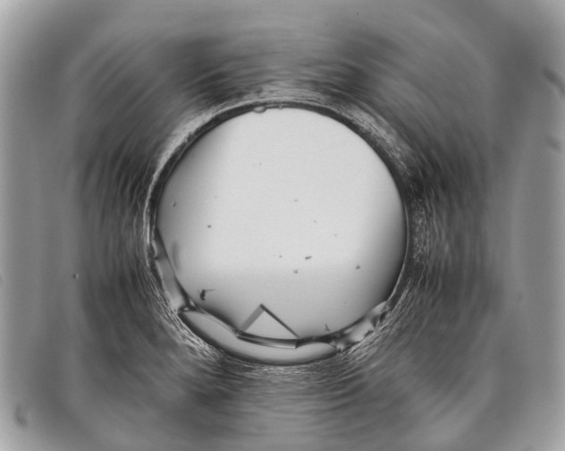 X0000097861280200804111144