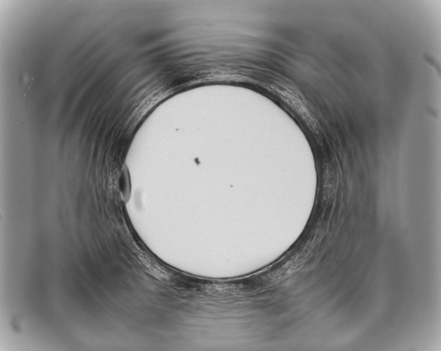 X0000097861281200804111144