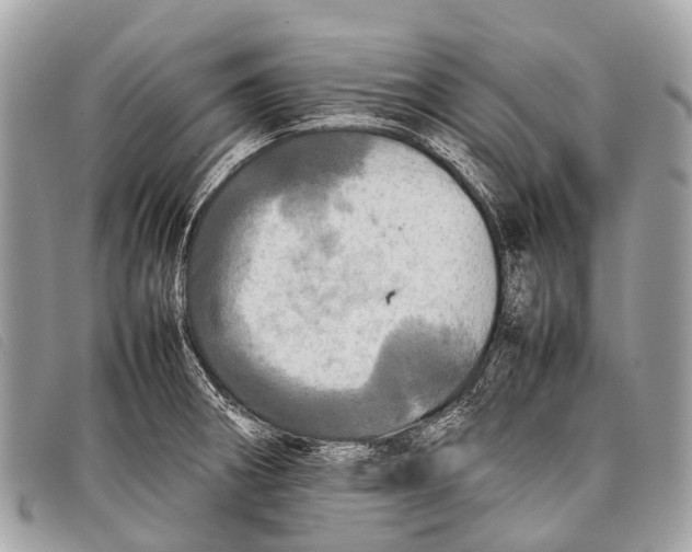 X0000097861282200804111143