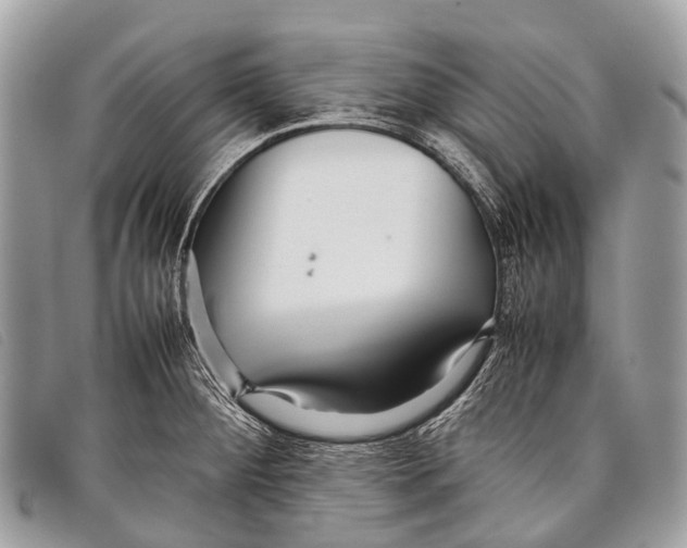 X0000097861284200804111143