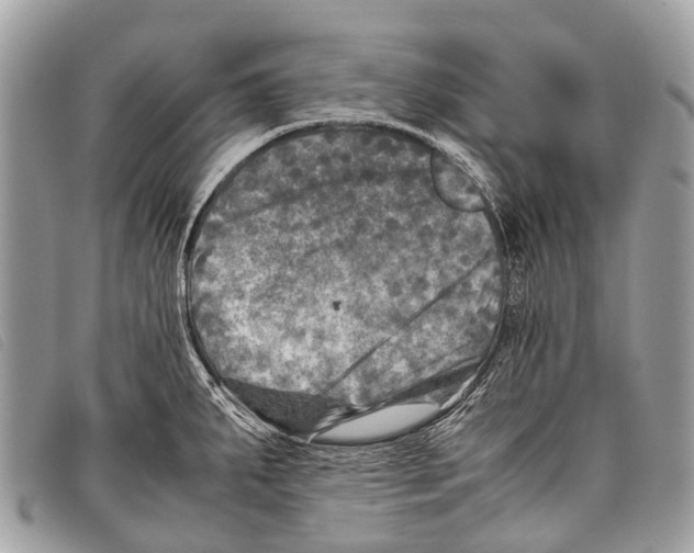 X0000097861287200804111143