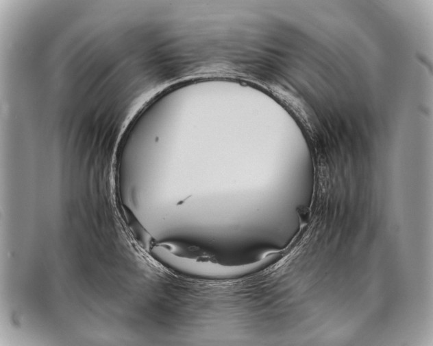 X0000097861288200804111143