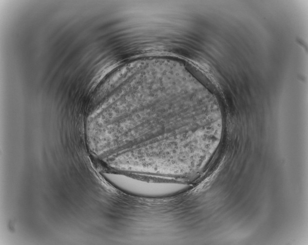 X0000097861289200804111143