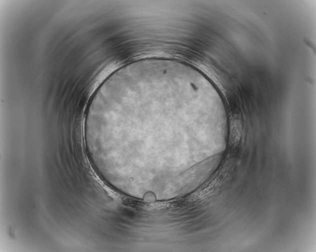 X0000097861290200804111143