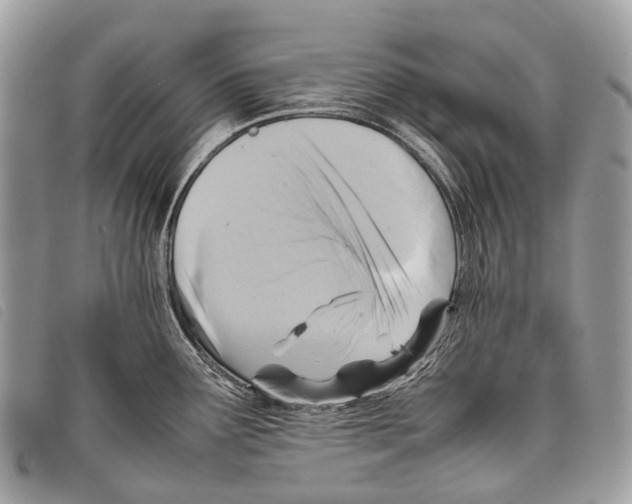 X0000097861291200804111143