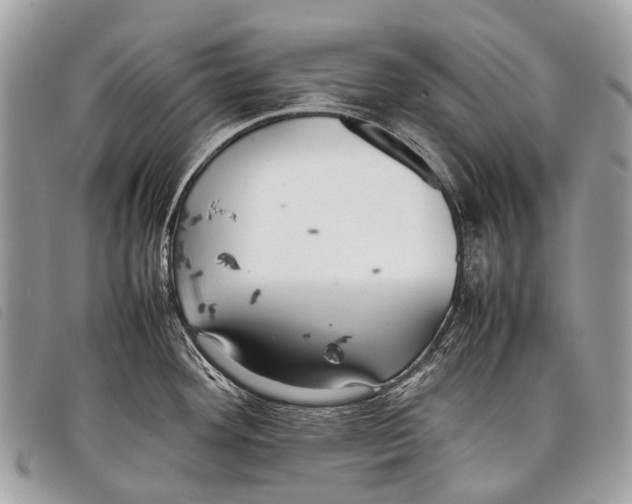 X0000097861292200804111143