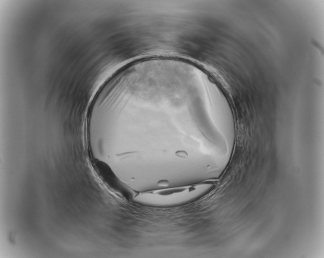 X0000097861295200804111143