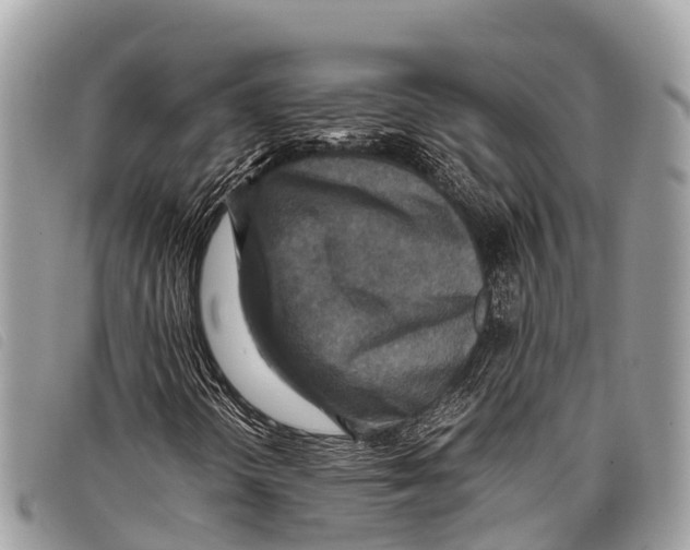 X0000097861298200804111142