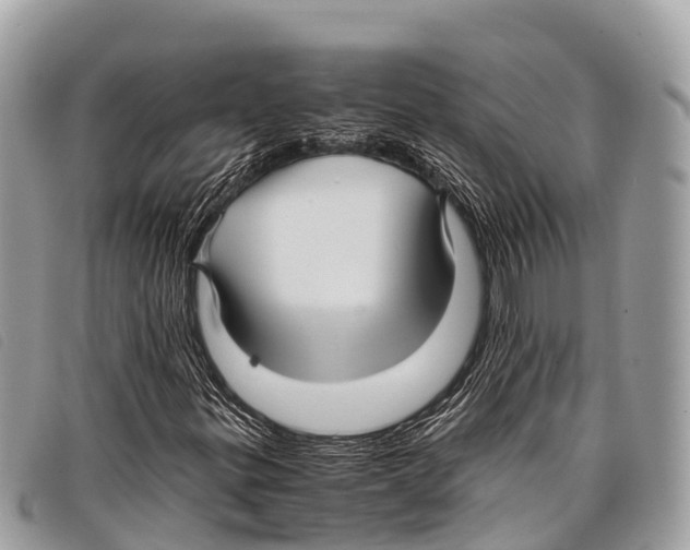 X0000097861299200804111142