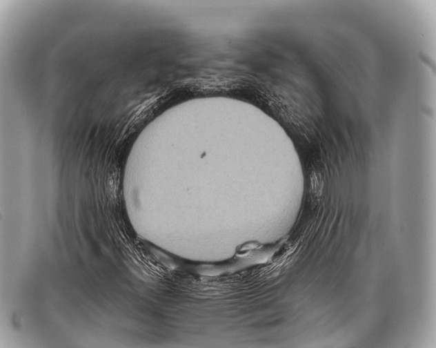 X0000097861300200804111142