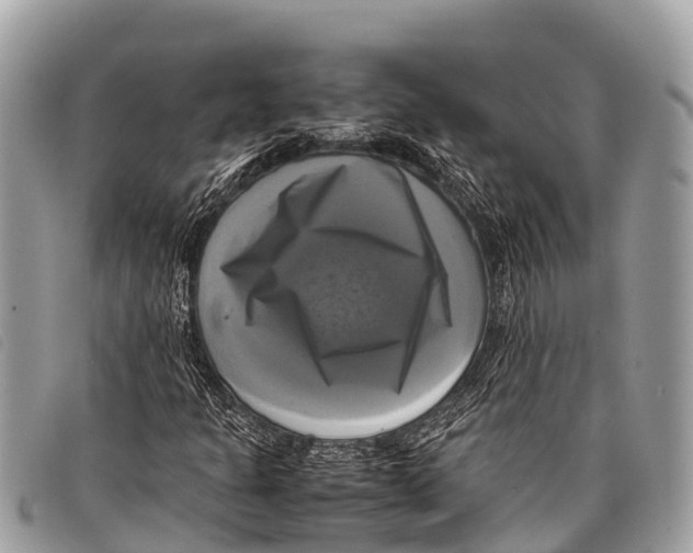 X0000097861301200804111142