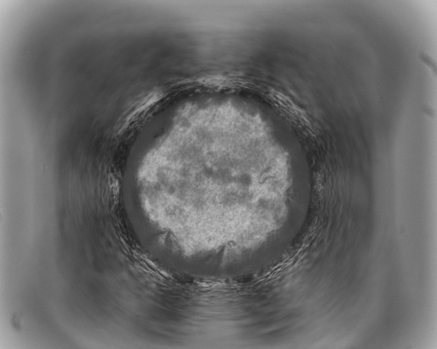 X0000097861302200804111142