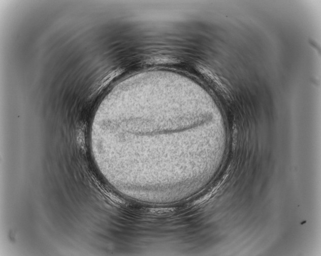 X0000097861305200804111142