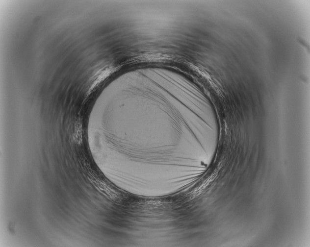 X0000097861306200804111142