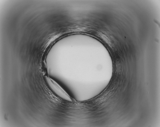 X0000097861308200804111142