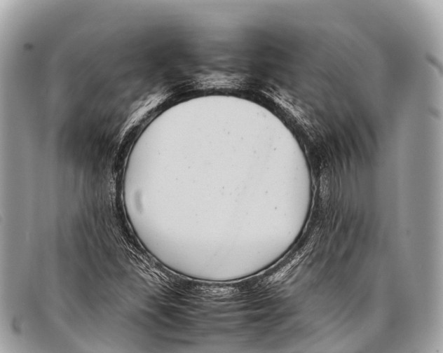 X0000097861309200804111142