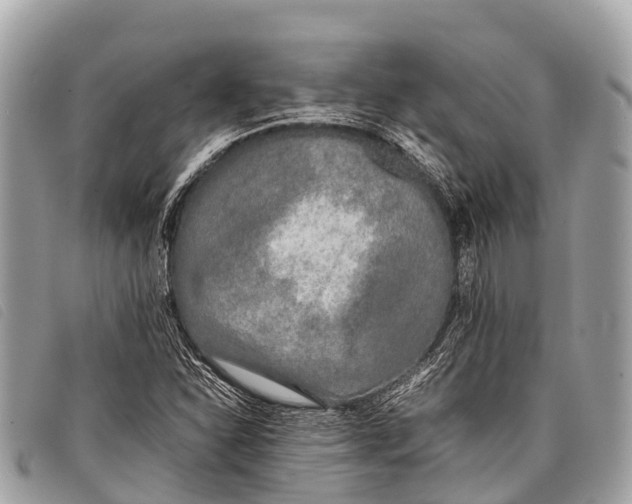 X0000097861310200804111142