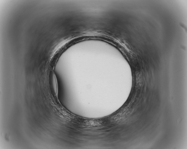 X0000097861311200804111142