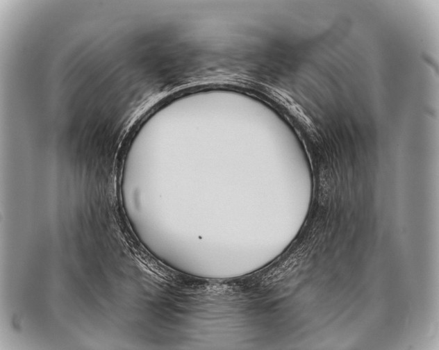 X0000097861316200804111143