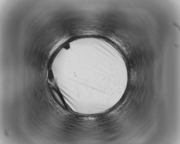 X0000097861317200804111143