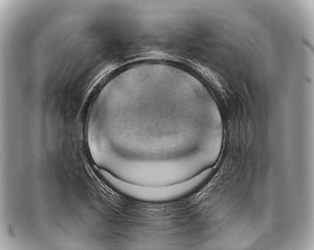 X0000097861318200804111143