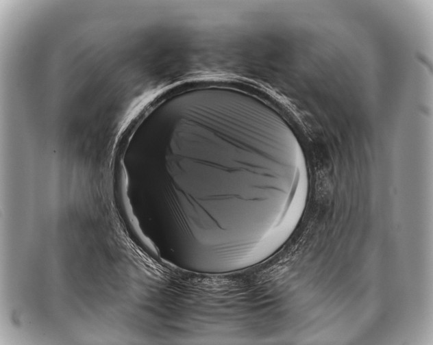 X0000097861319200804111143