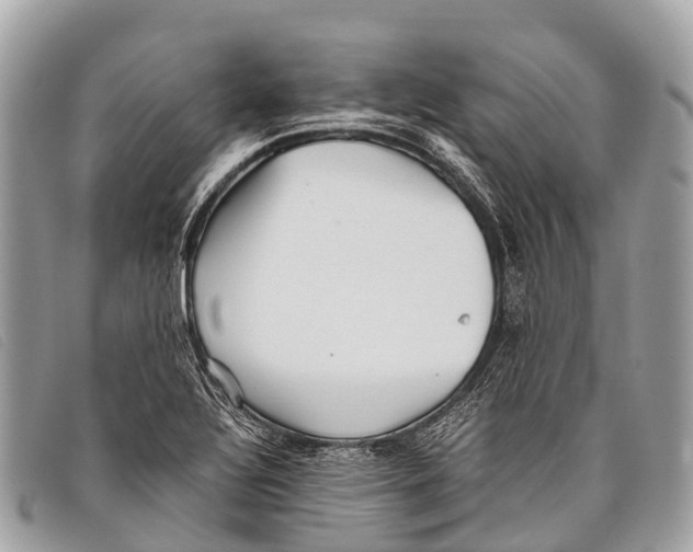 X0000097861320200804111143