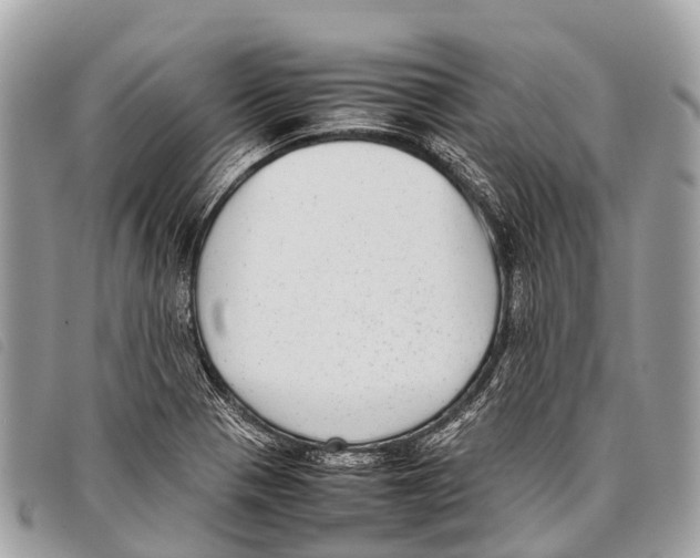 X0000097861321200804111143