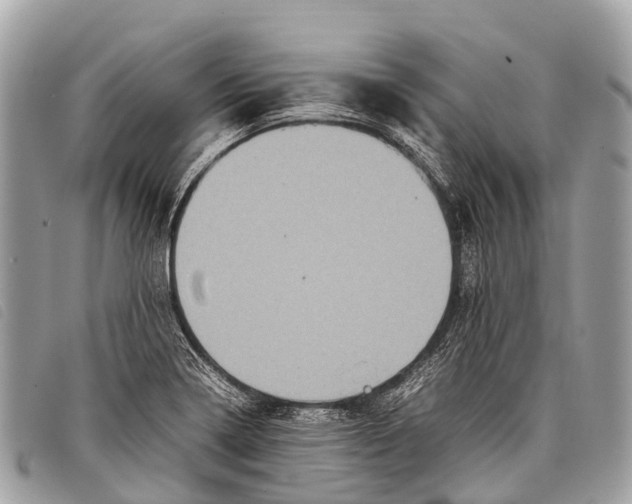 X0000097861322200804111143