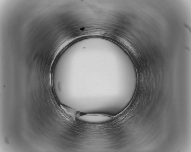 X0000097861324200804111143