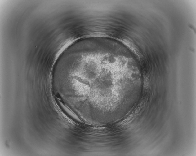 X0000097861325200804111143