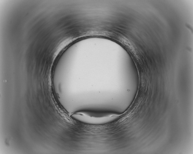 X0000097861328200804111143