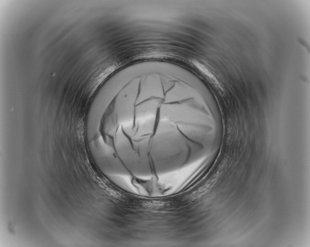 X0000097861329200804111143