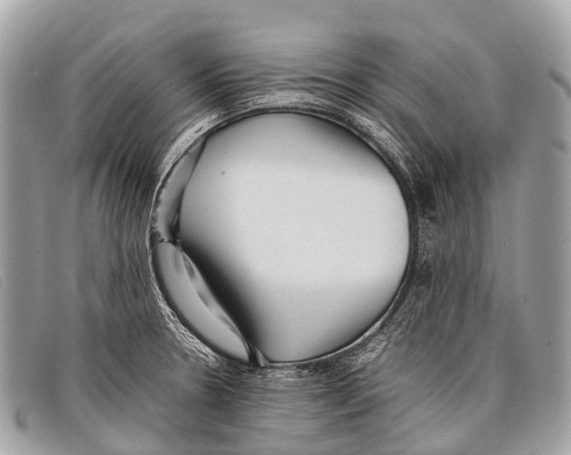 X0000097861330200804111143